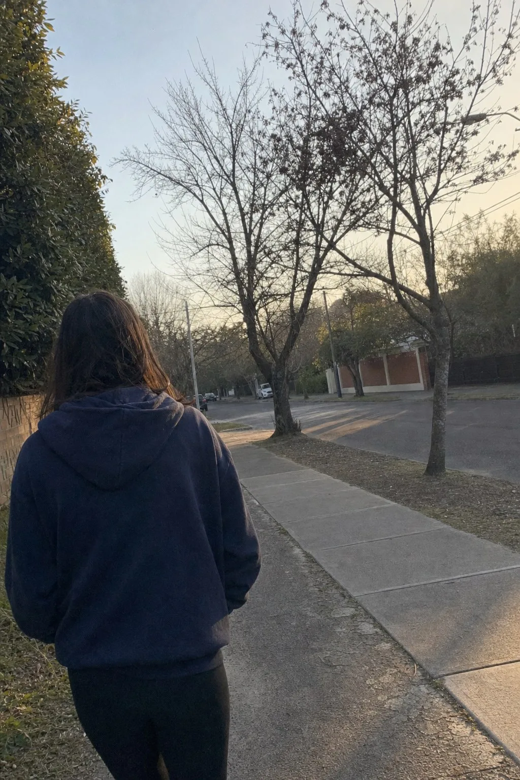 A woman seen from behind walking alone down a quiet street in early morning light
